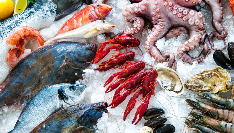 ¿Por Qué Debemos Consumir Productos Del Mar?